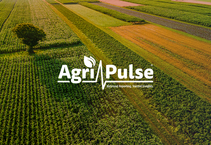 American Farmers Also Feel The Inflation Squeeze Heres What They Can Do