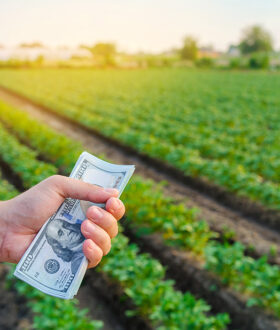 Decoding The Farm Bill & Unlocking R&D Potential