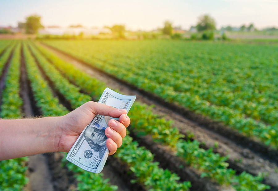 Decoding The Farm Bill & Unlocking R&D Potential