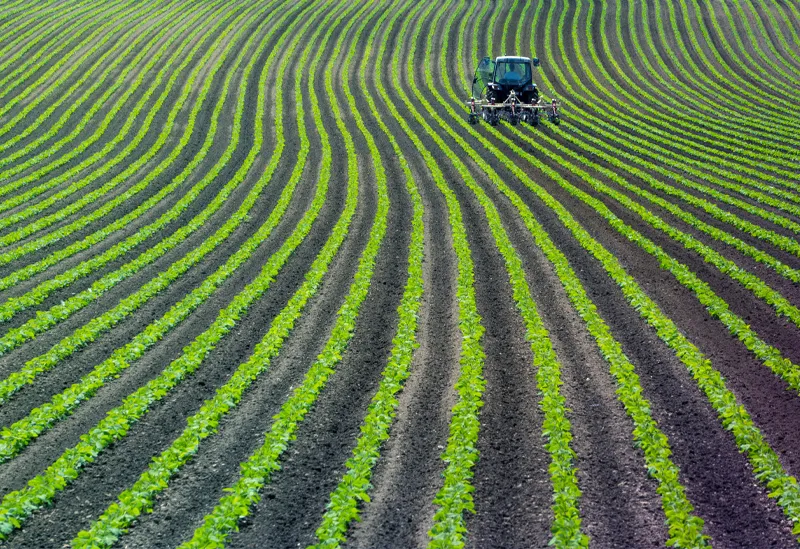 Digital Twins Can Mitigate Risk For Today’s Farms. Here’s How