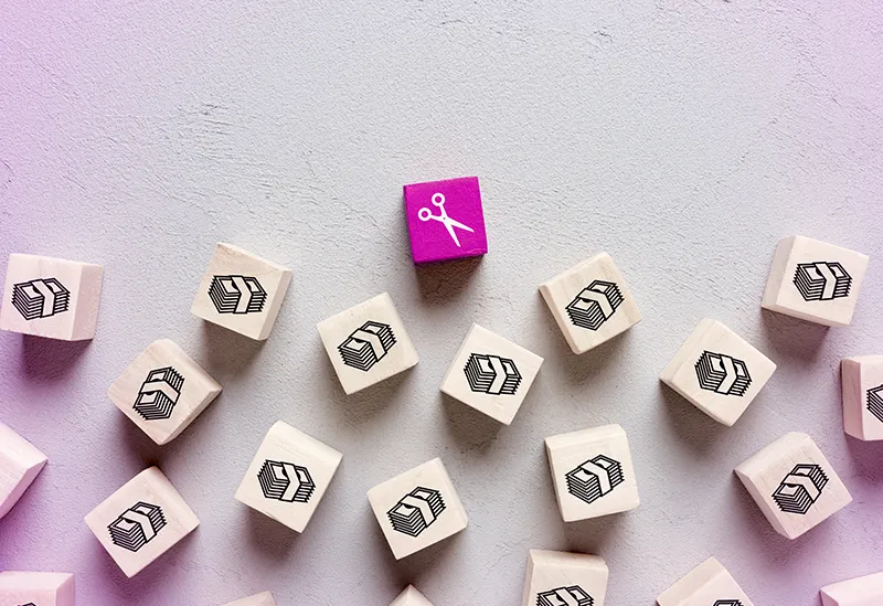 Proposed U.s. Budget Cuts Raise Fears About Tech Innovation