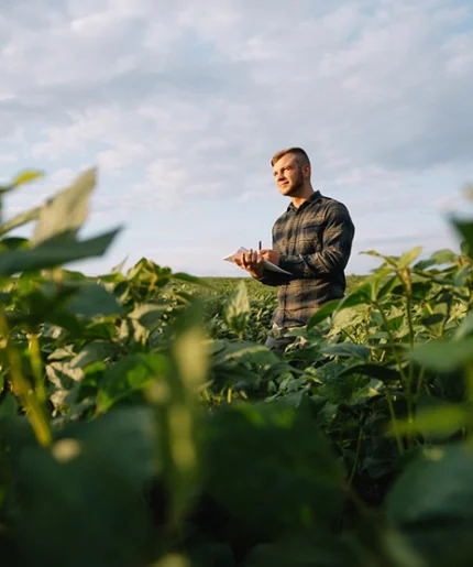 Credits And Incentives Consulting