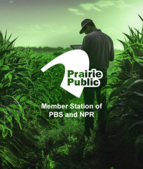 Tax Schemes Targeting Farmers & Small Business Owners