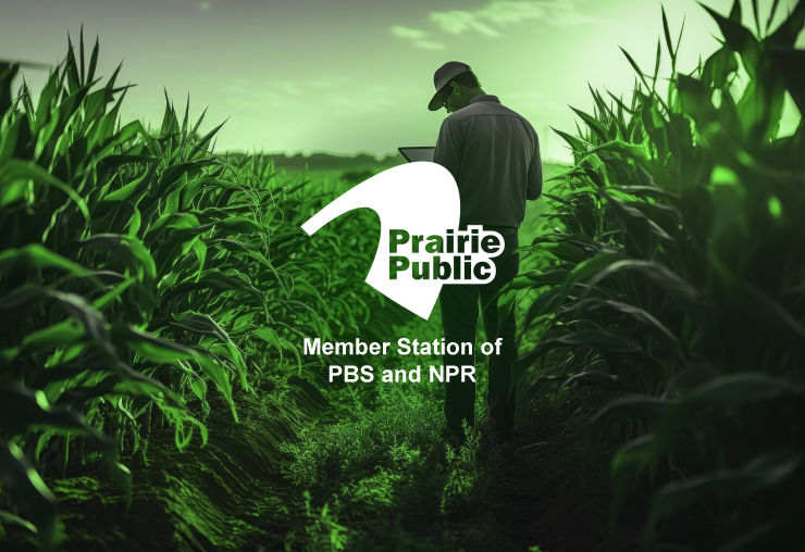 Tax Schemes Targeting Farmers & Small Business Owners